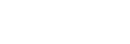 Braun Sicherheitsdienste Logo